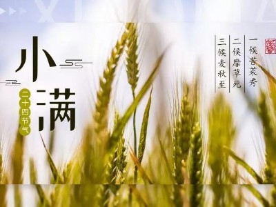 520，給您“滿(mǎn)”心誠(chéng)意
